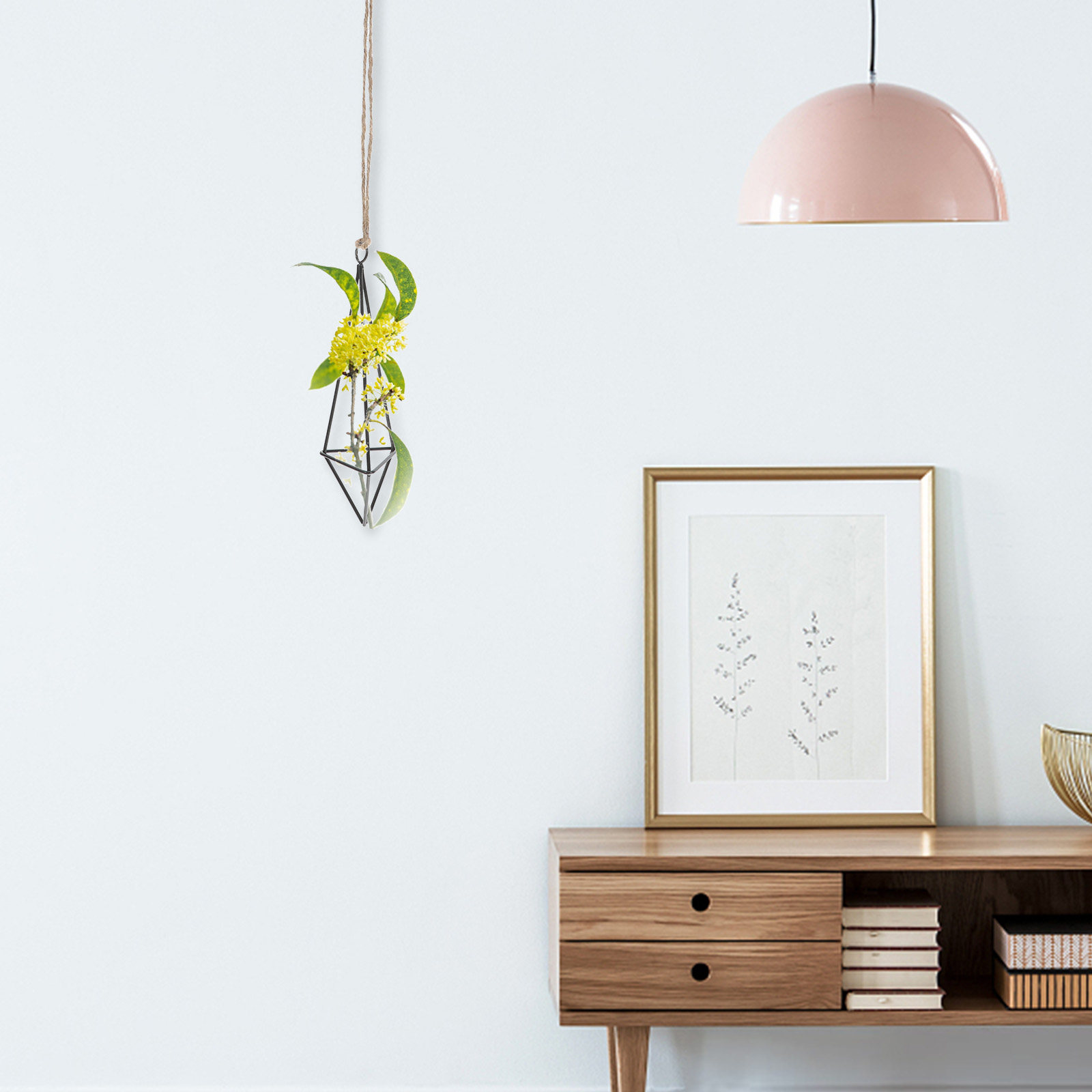 Metal Air Plant Holder Hanging - đánh giá và giá Spider Plant Hanging
