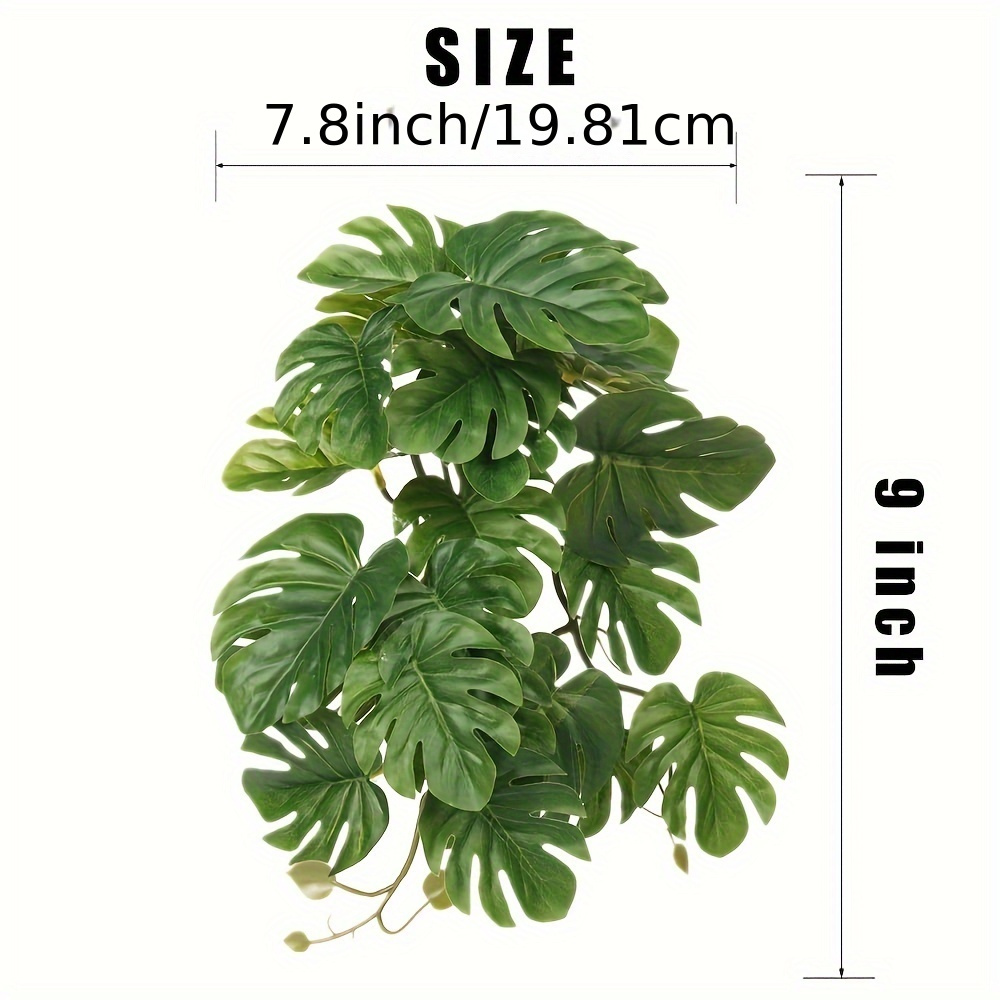 Reptile Plants for Terrarium A - đánh giá và giá Monstera Adansonii